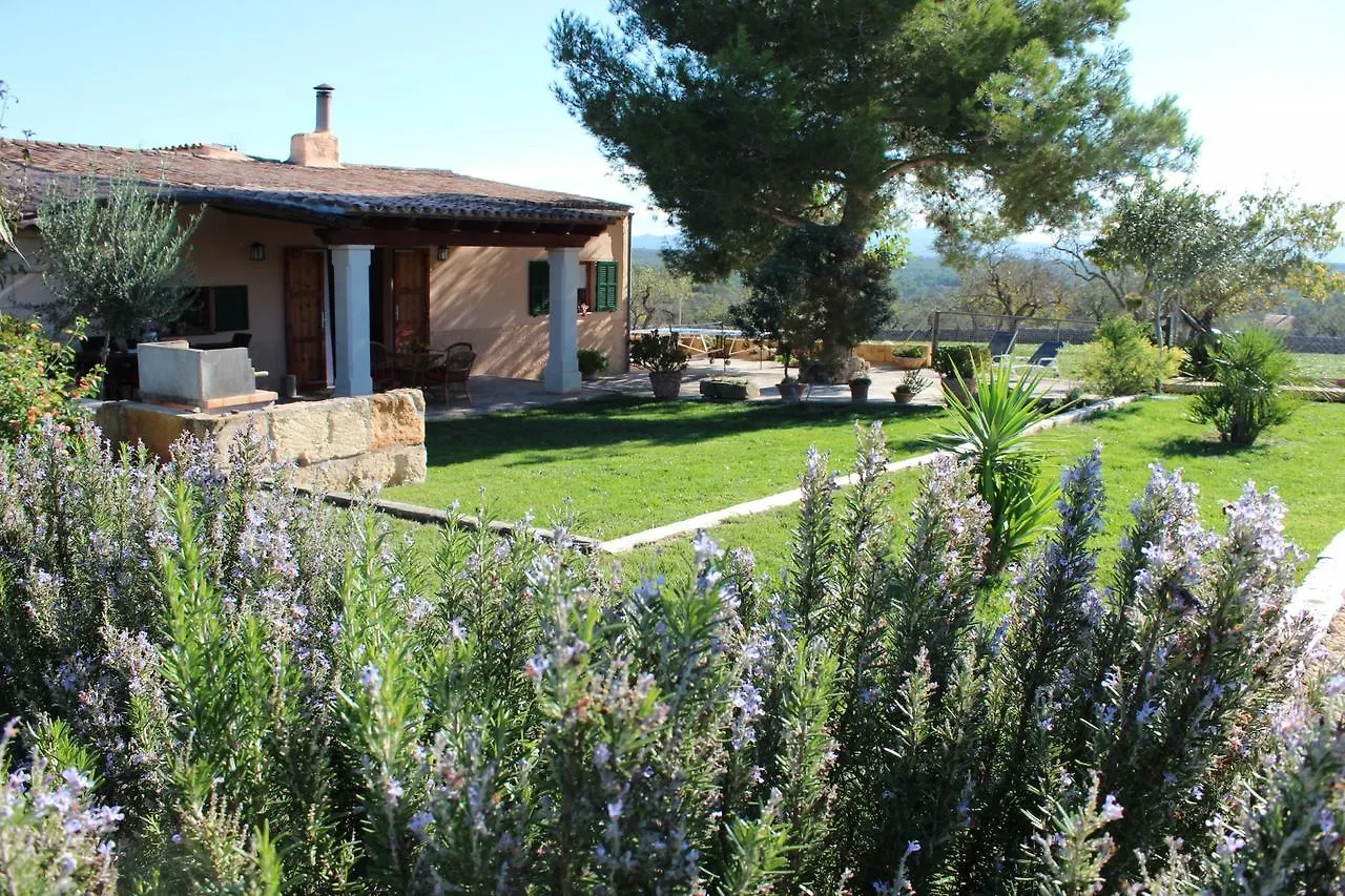 Barranc De Son Fullos Santa Margalida 0*,  Spain